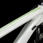 Cube Access WS EXC stonegrey´n´fern (Bike Modell 2022) bei tyl4sports.at